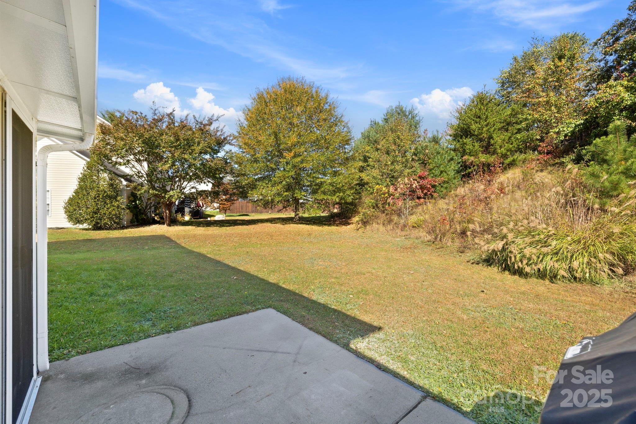 258 Lumber River Road Fletcher, NC 28732 - Photo 9 of 48 a view of yard with swimming pool and green space