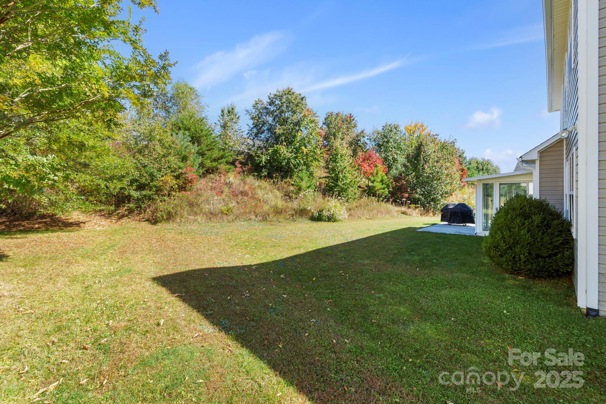 258 Lumber River Road Fletcher, NC 28732 - Photo 10 of 44 a view of outdoor space and yard