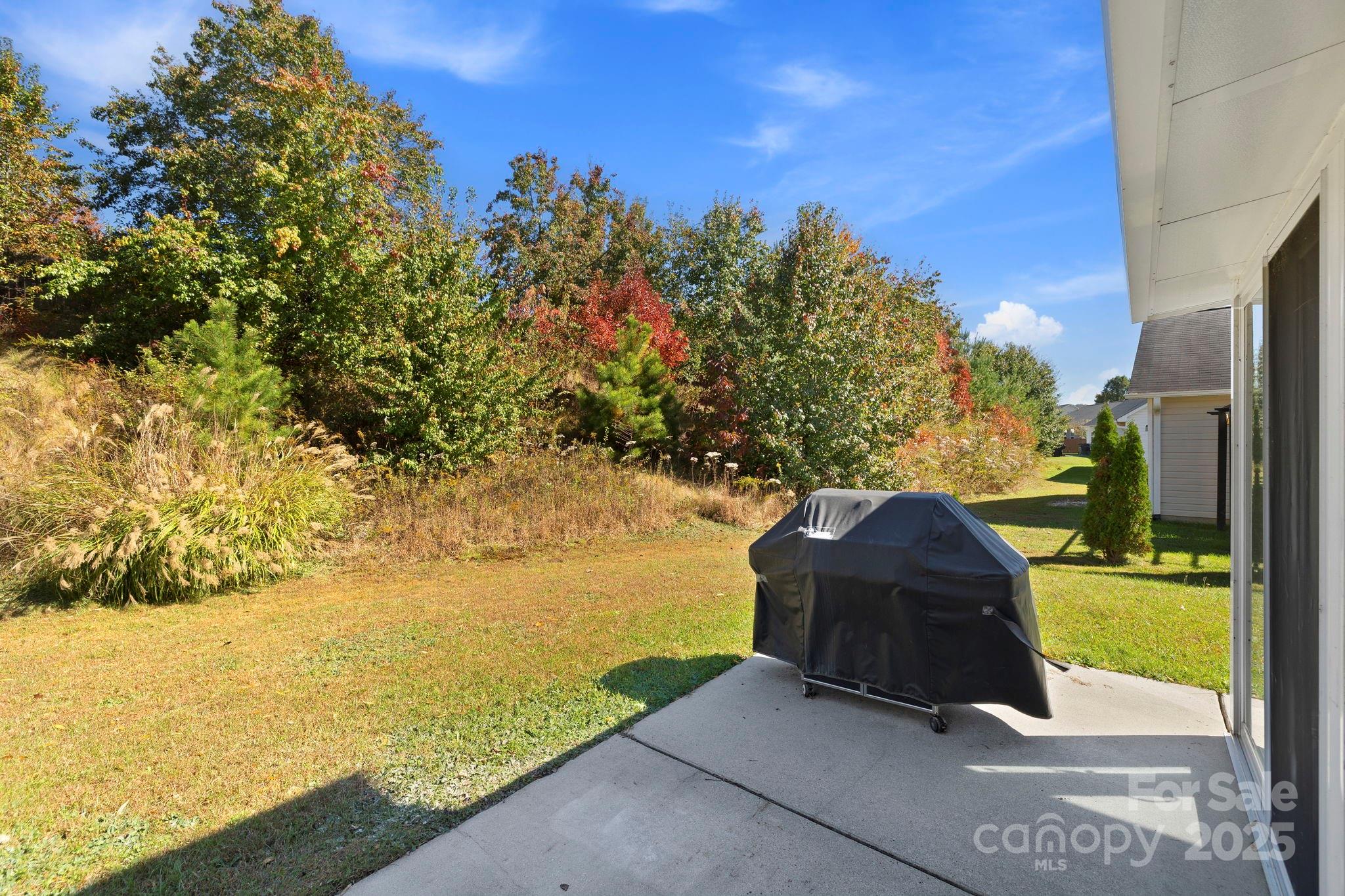 258 Lumber River Road Fletcher, NC 28732 - Photo 10 of 48