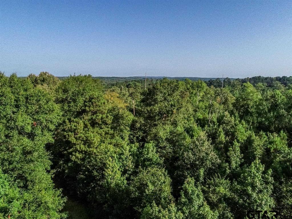 259 & Sego Lily Road Diana, TX 75640 - Photo 10 of 22