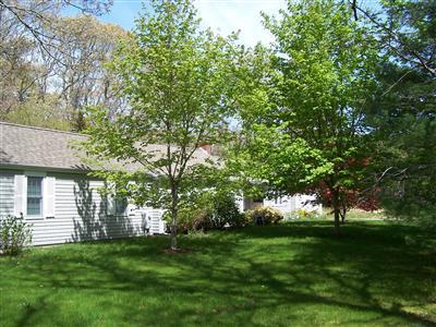 474 South Orleans Road Orleans, MA 02653 - Photo 6 of 25 Additional Photo