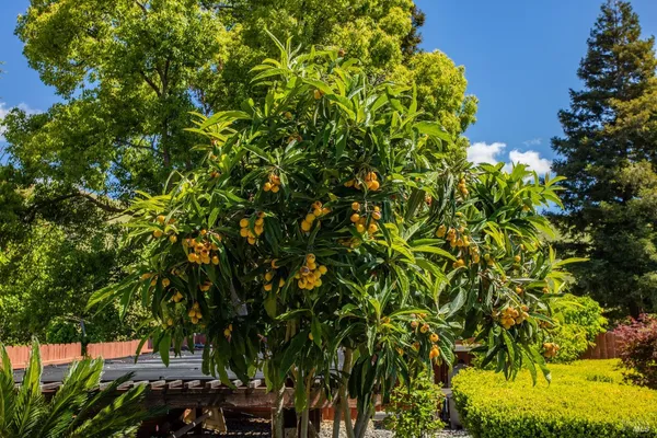 $1,150,000 | 2513 Troon Court, Fairfield, CA 94534