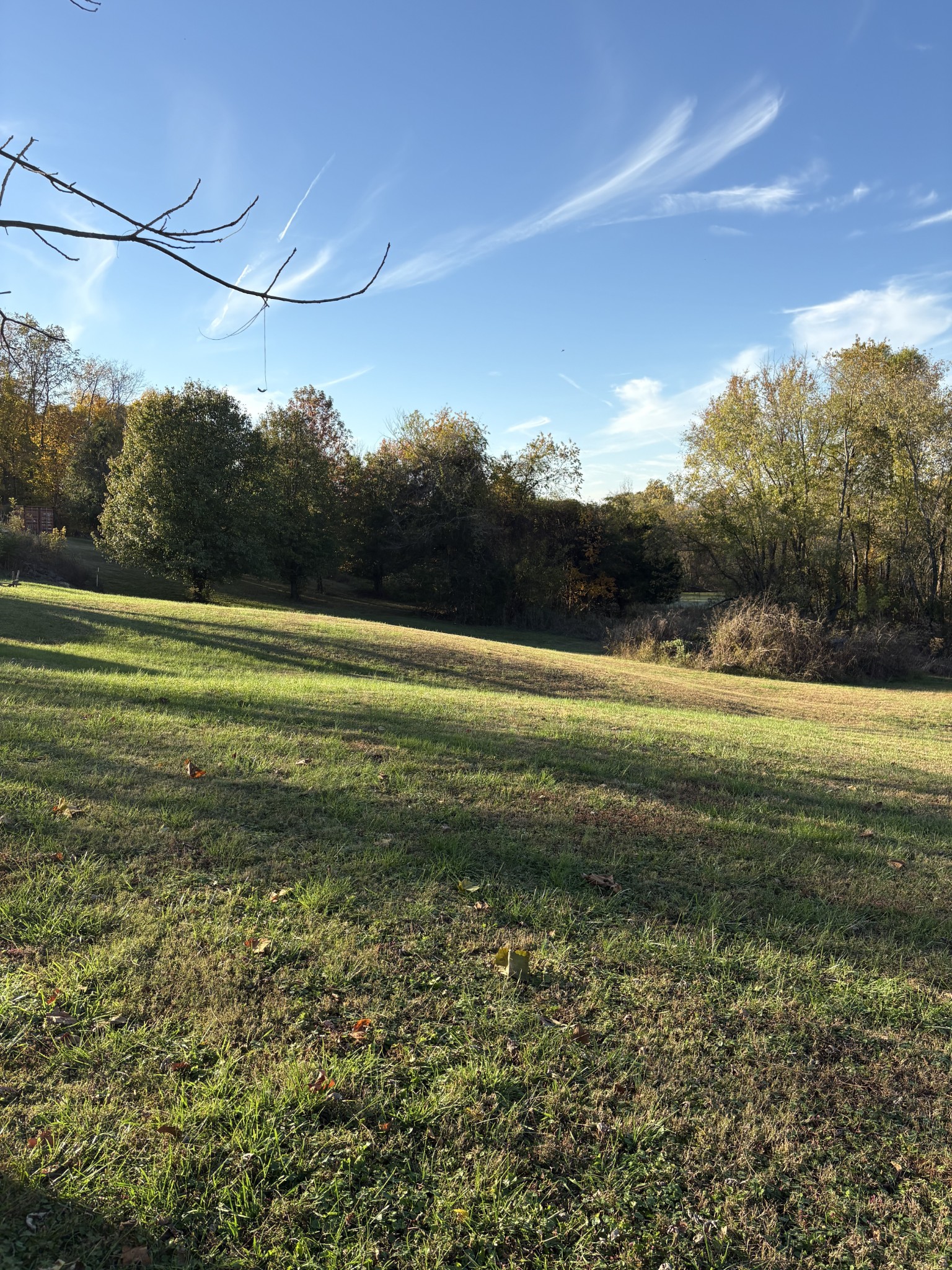8989 Lebanon Road Mount Juliet, TN 37122 - Photo 2 of 5 a view of a field with a big yard