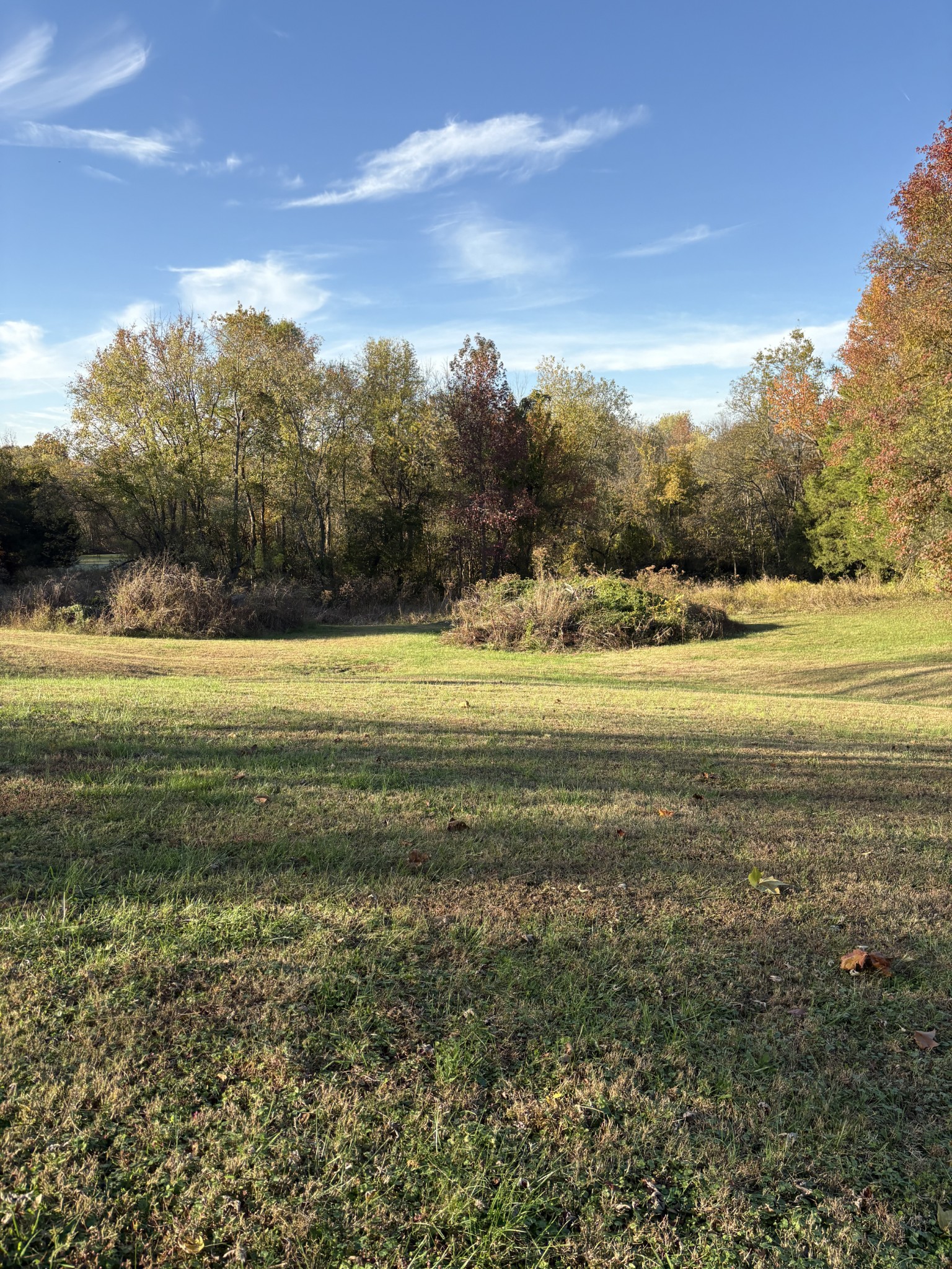 8989 Lebanon Road Mount Juliet, TN 37122 - Photo 3 of 5 a view of an ocean and beach