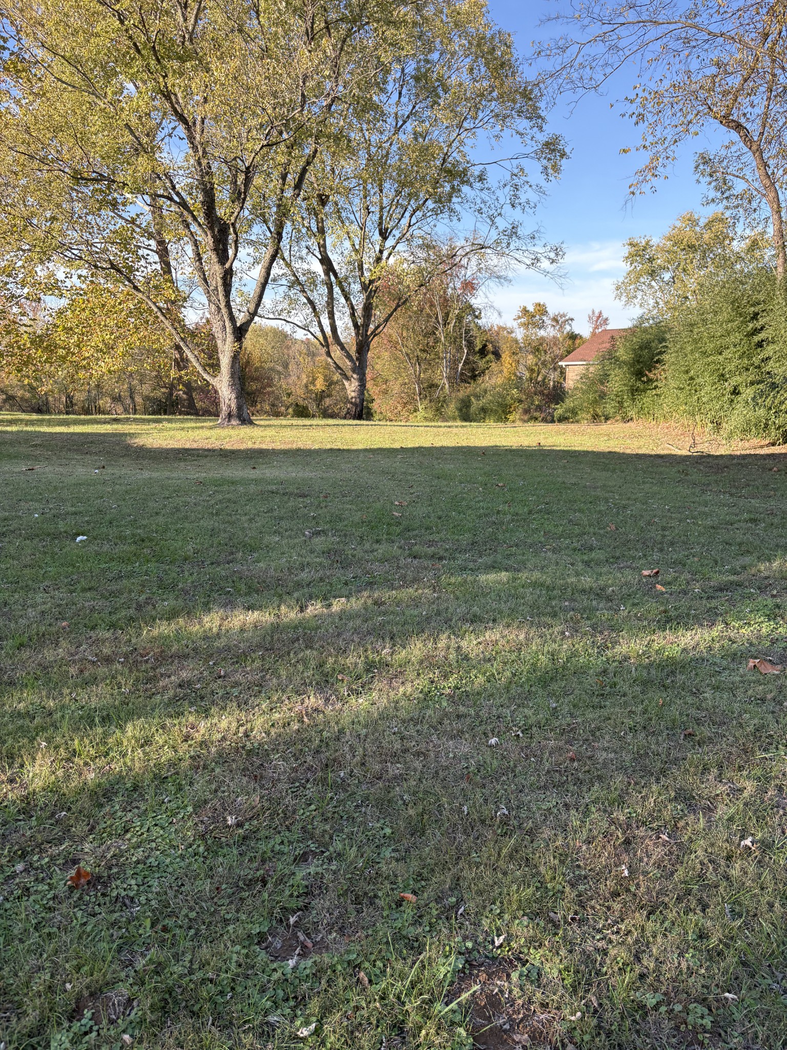 8989 Lebanon Road Mount Juliet, TN 37122 - Photo 4 of 5 a view of yard with green space