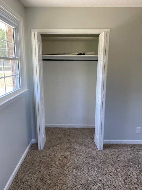 502 Pollard Road Clarksville, TN 37042 - Photo 9 of 26 Gallery Image 9