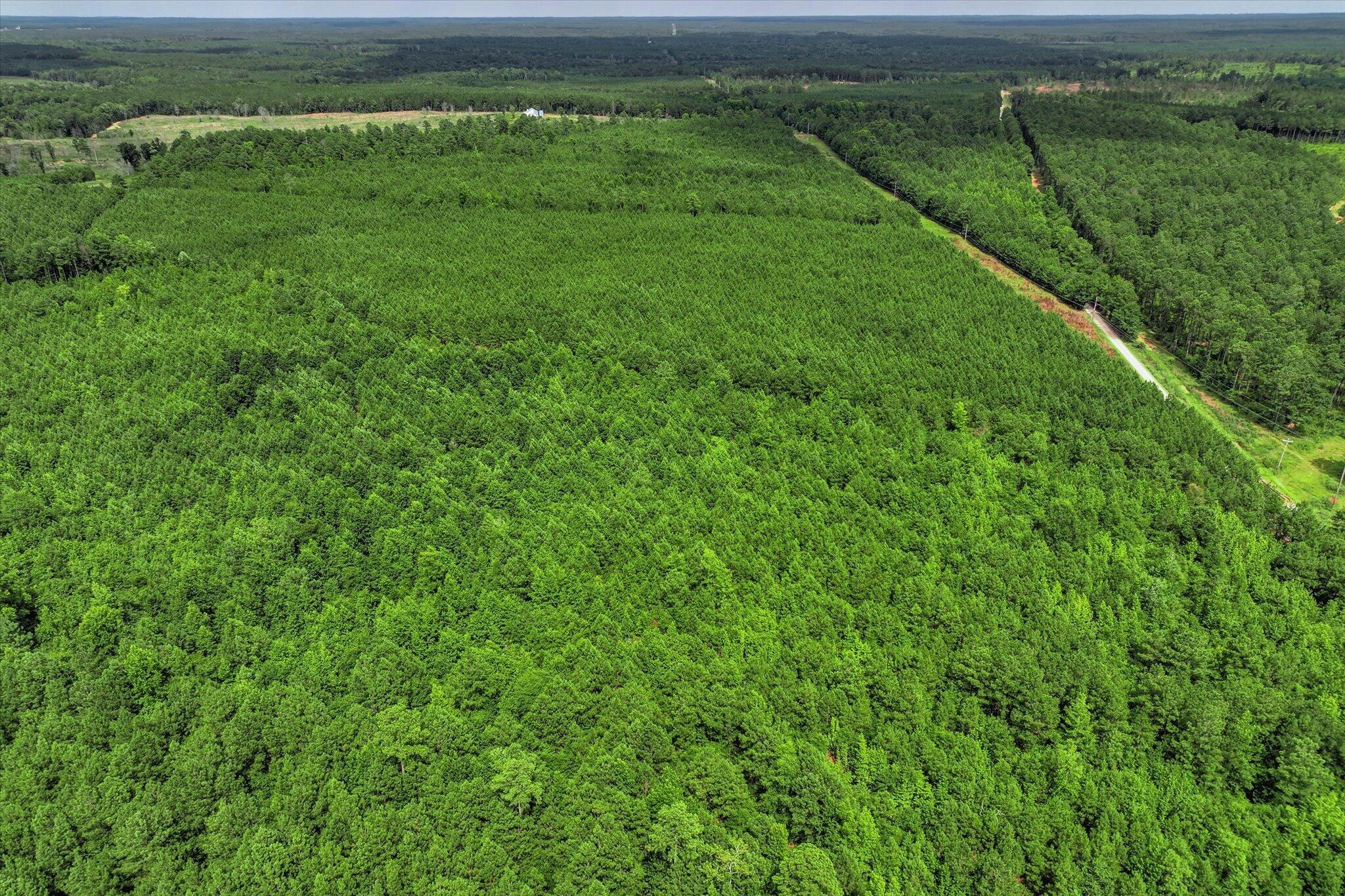 622 Log Creek Road Edgefield, SC 29824 - Photo 14 of 19