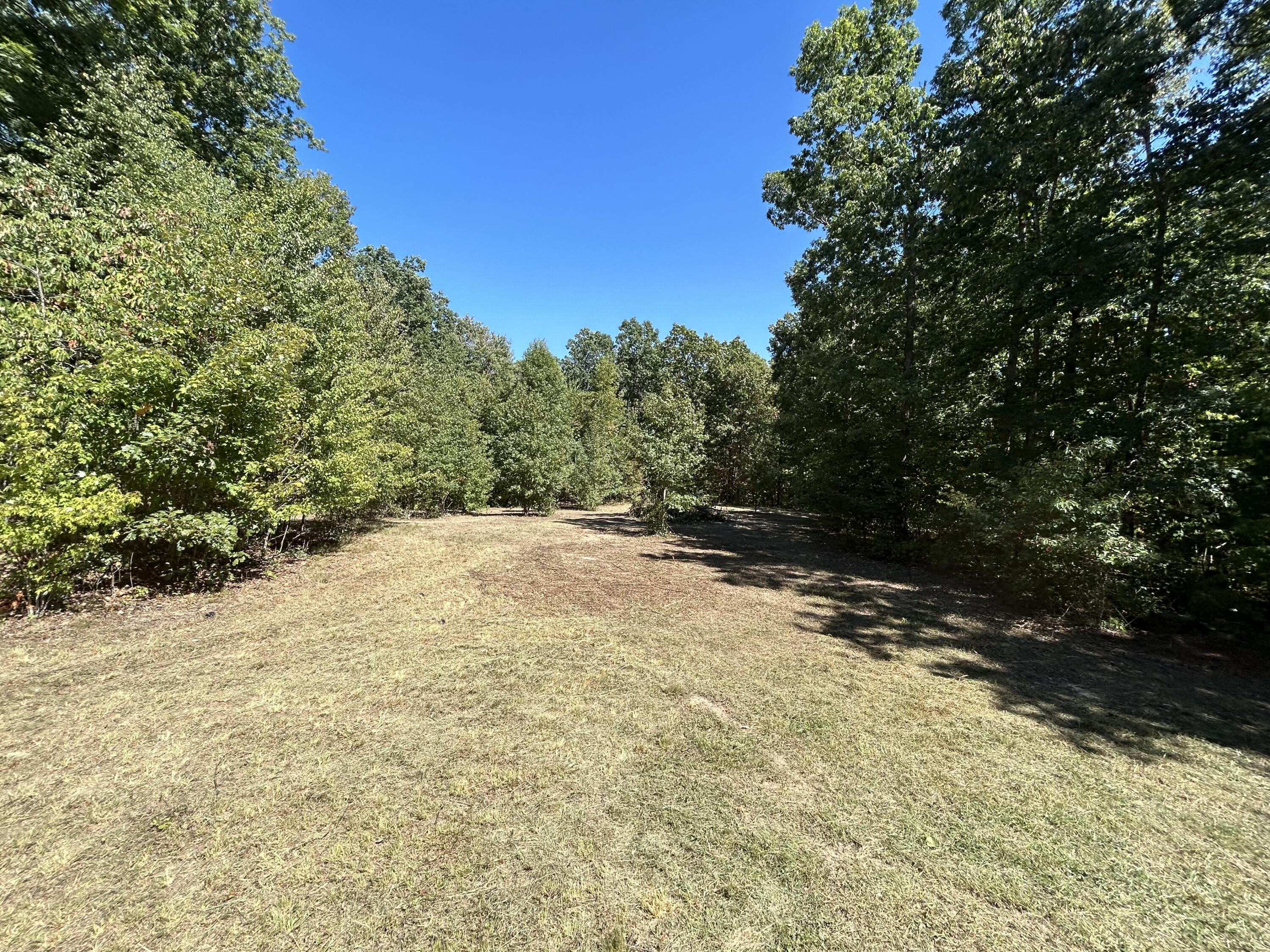 1795 Ritchie Ridge Lane Soddy Daisy, TN 37379 - Photo 2 of 8 IMG_1728 (1)