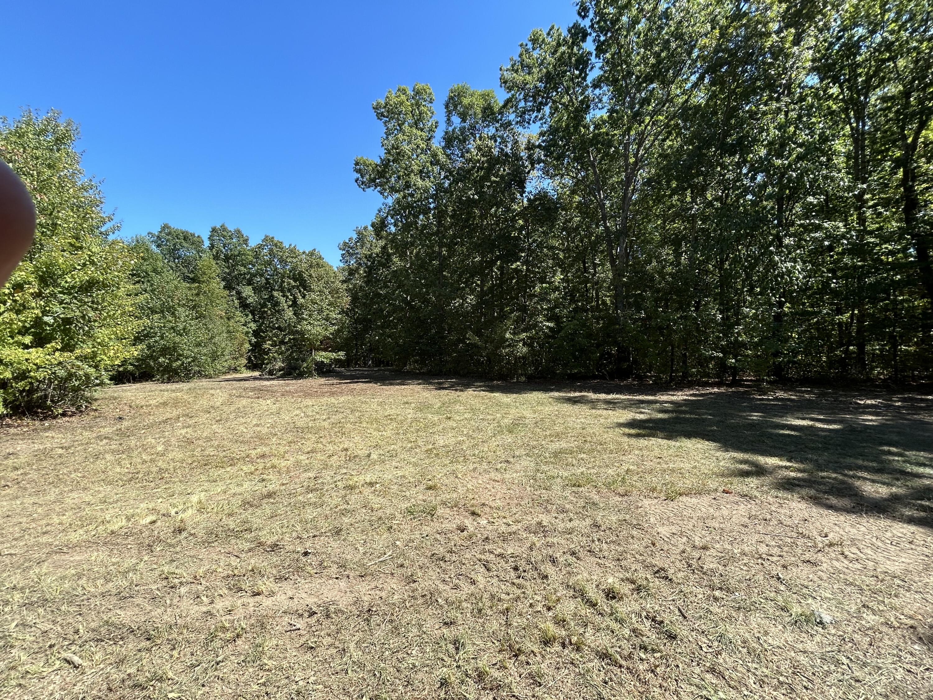 1795 Ritchie Ridge Lane Soddy Daisy, TN 37379 - Photo 3 of 8 IMG_1730