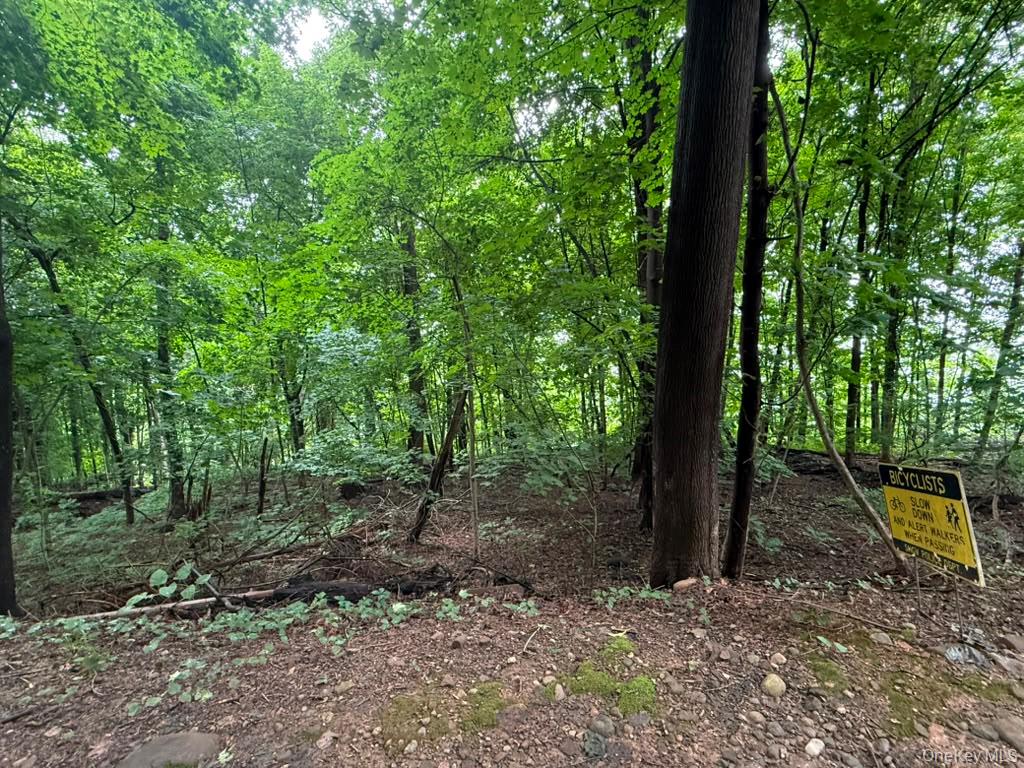 43 River Road Nyack, NY 10960 - Photo 1 of 3 Gallery Image 1