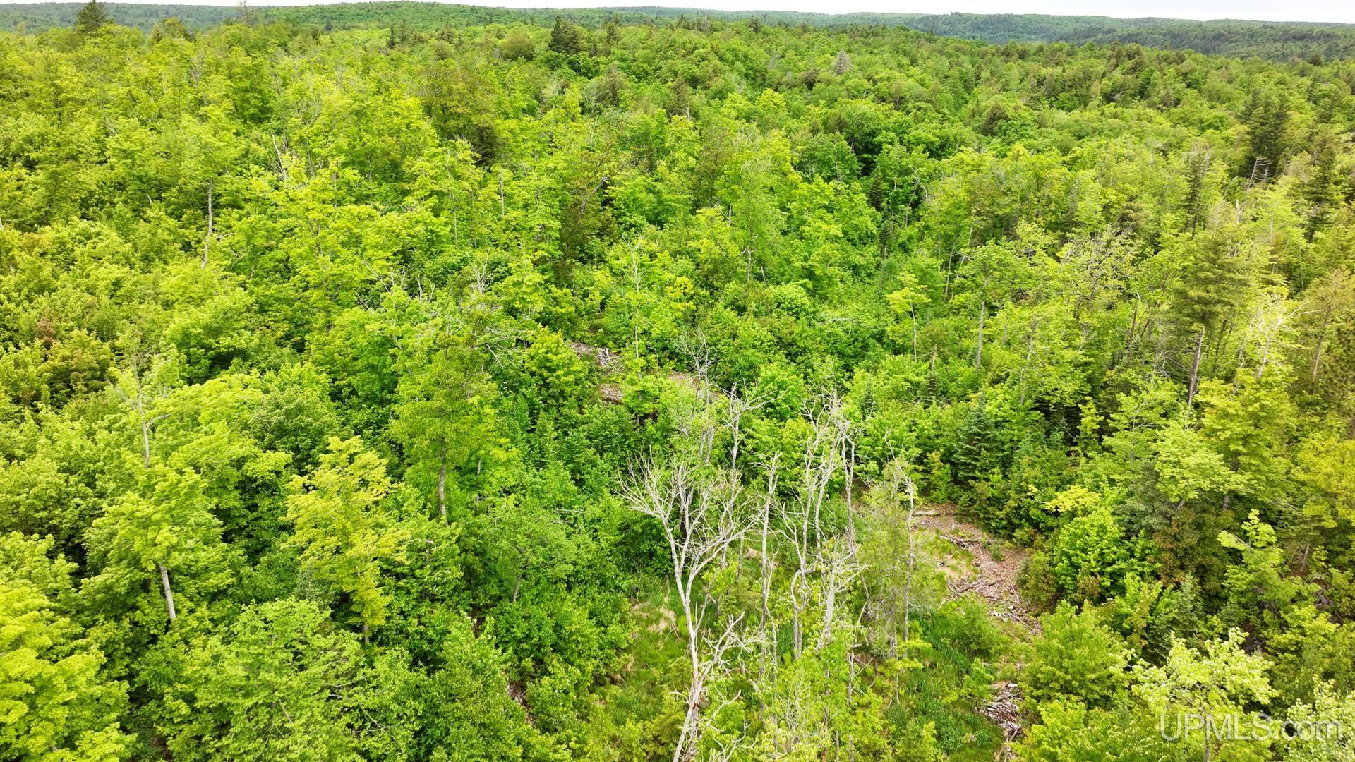 Tbd Tbd Co Road Negaunee, MI 49866 - Photo 42 of 47