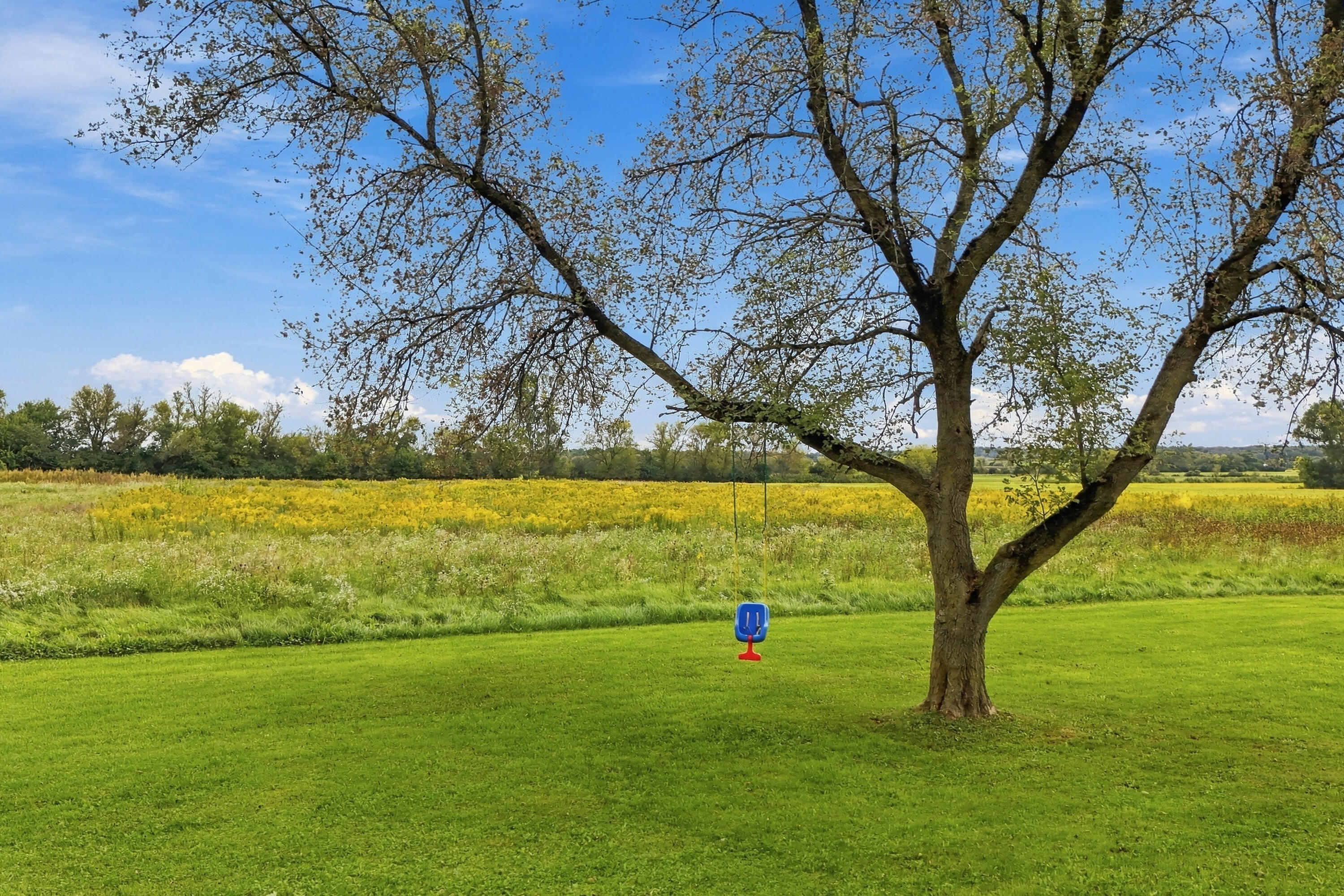 N8092 Marsh Road Troy, WI 53120 - Photo 42 of 43 Serene yard and field views