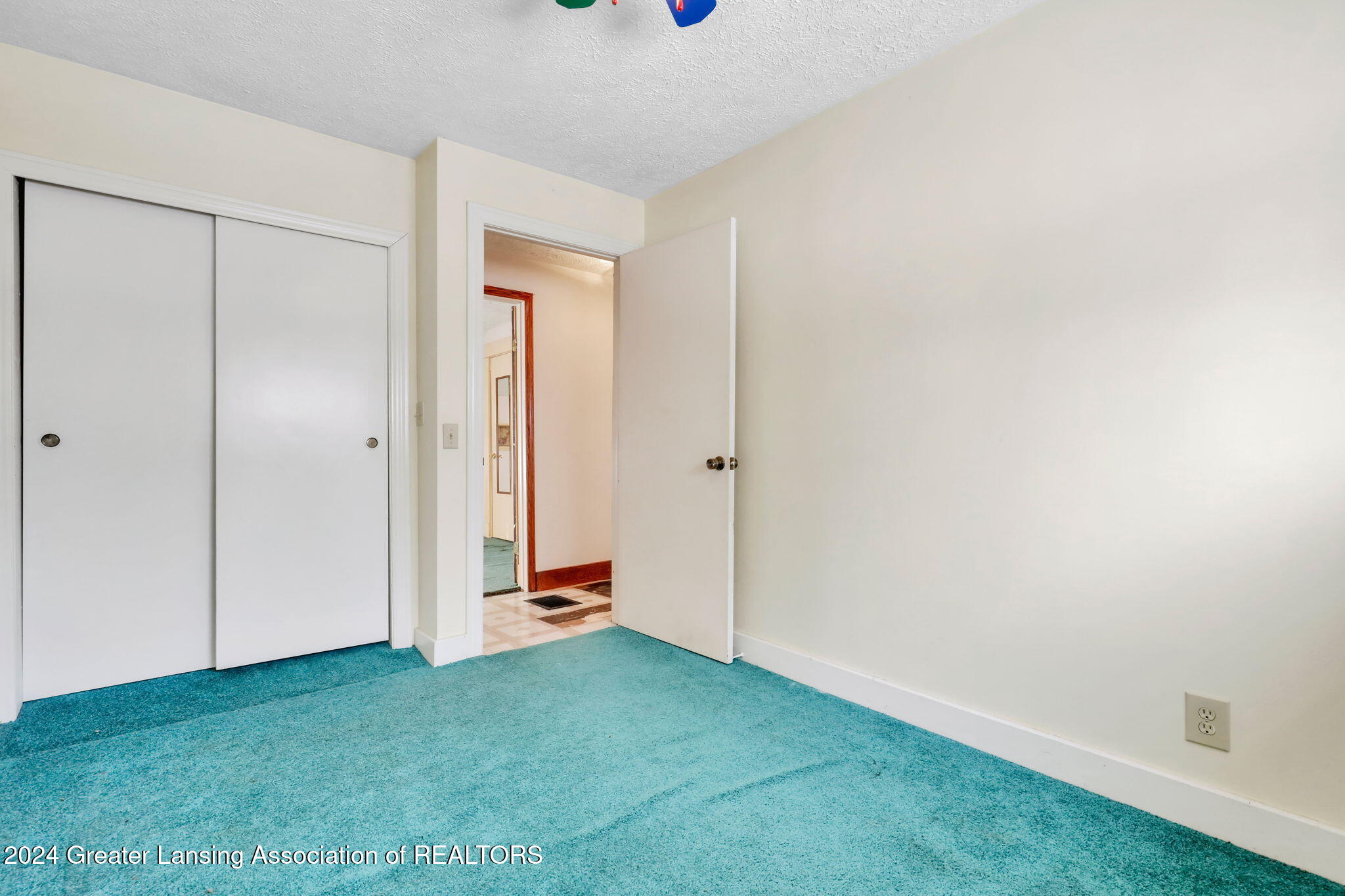 5765 South Ainger Road Olivet, MI 49076 - Photo 19 of 31 21-web-or-mls-_I3A3844