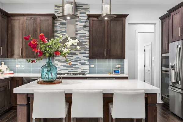 $1,425,000 | 4328 Winterberry Avenue, Naperville, IL 60564