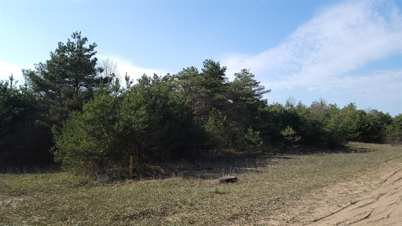 Howes Road Kaleva, MI 49645 - Photo 2 of 21