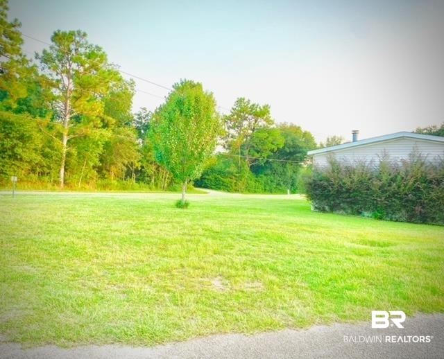 10010 Old Pascagoula Road Theodore, AL 36582 - Photo 6 of 13