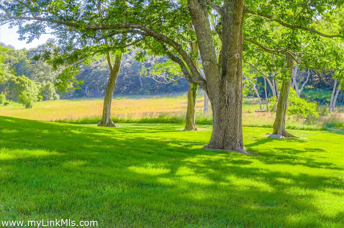 180 Pilot Hill Farm Road Vineyard Haven, MA 02568 - Photo 3 of 68