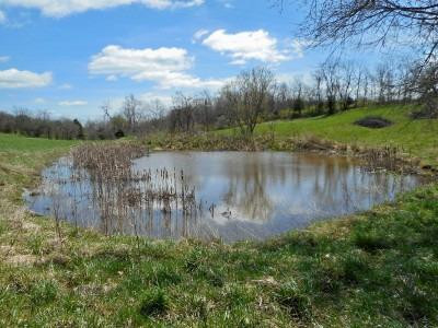 0 Park Ridge Road Ghent, KY 41045 - Photo 10 of 10 Gallery Image 10