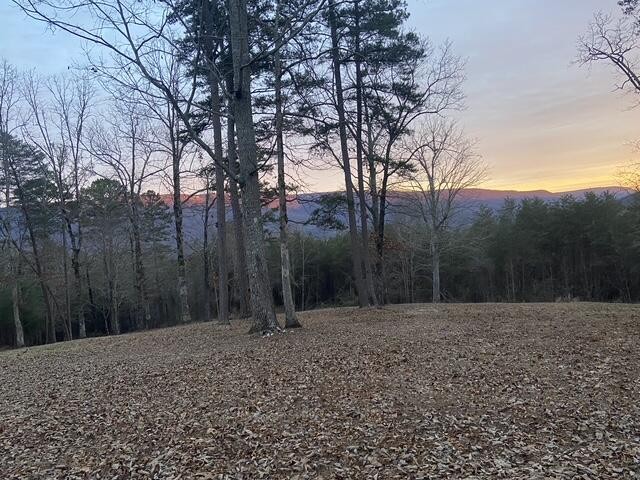 978 Press Pickett Road Whitwell, TN 37397 - Photo 27 of 36 Gallery Image 27