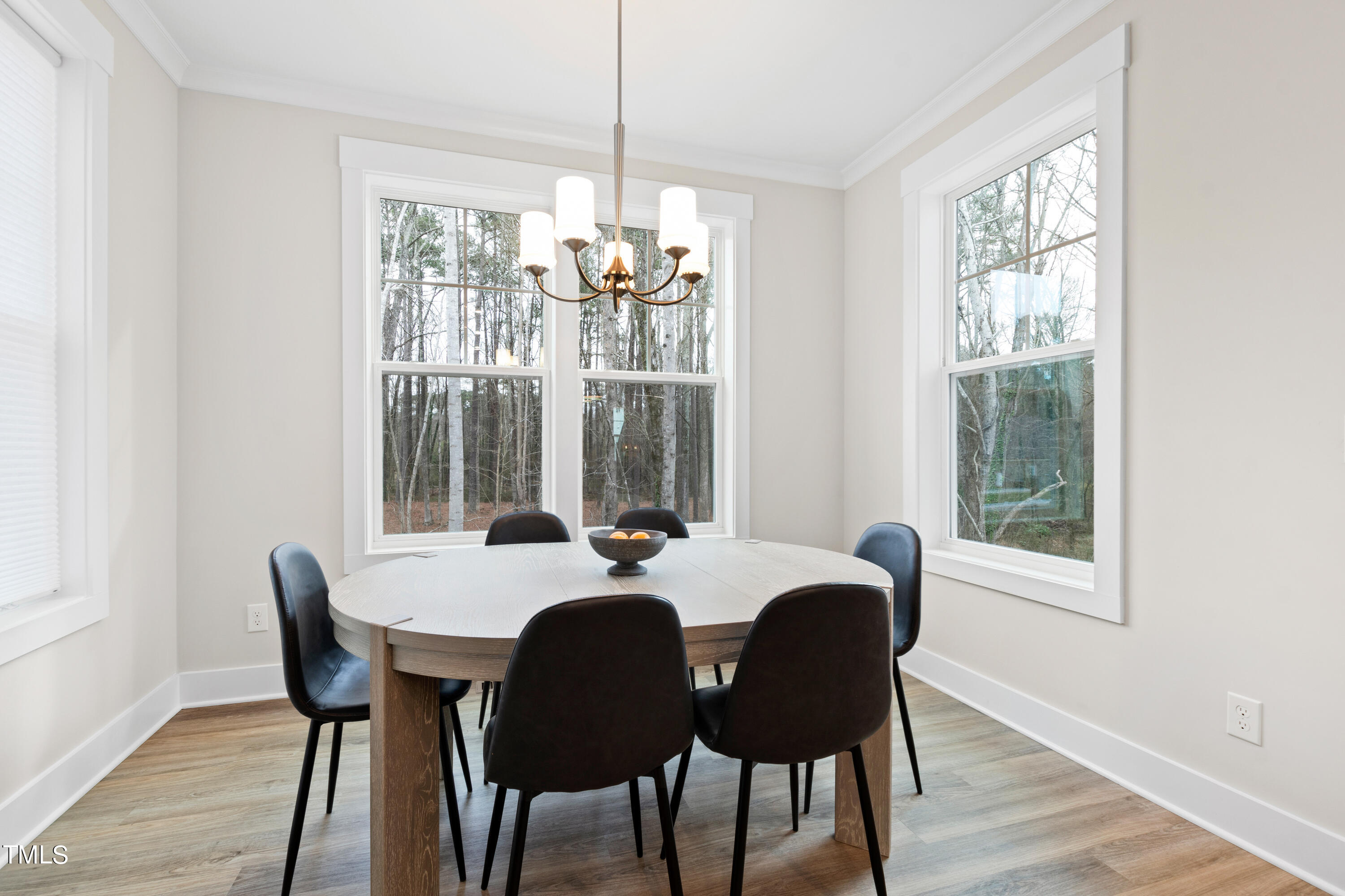 119 Dunloe Loop Raleigh, NC 27603 - Photo 24 of 51 a dining room with furniture a chandelier and wooden floor