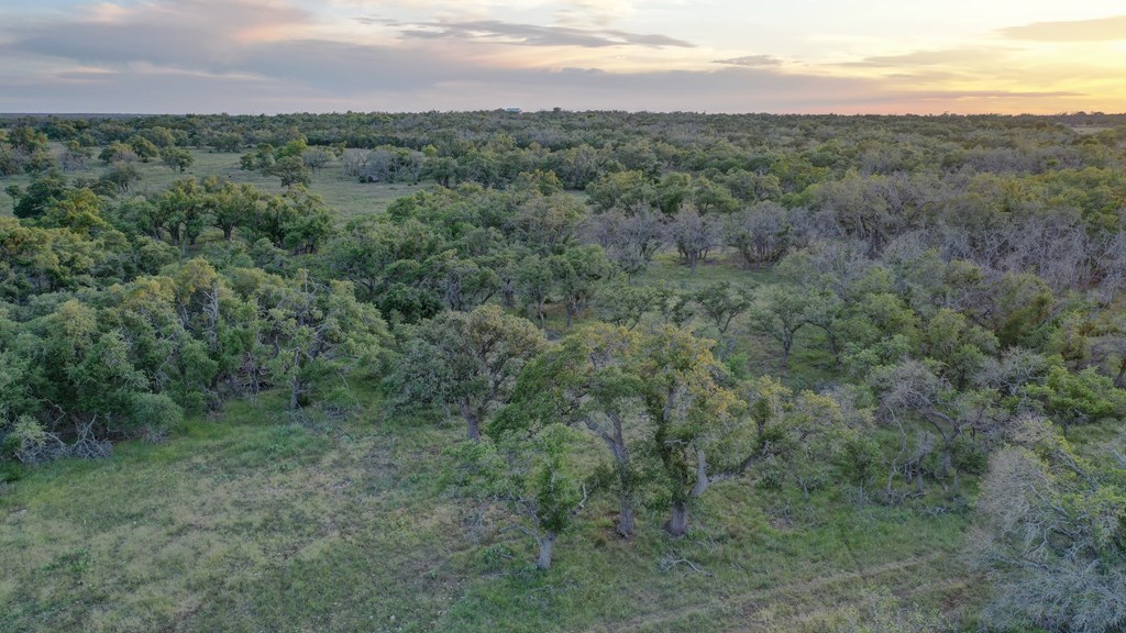 0 Stevens Ranch Road Harper, TX 78631 - Photo 4 of 31 a view of a field of grass and trees