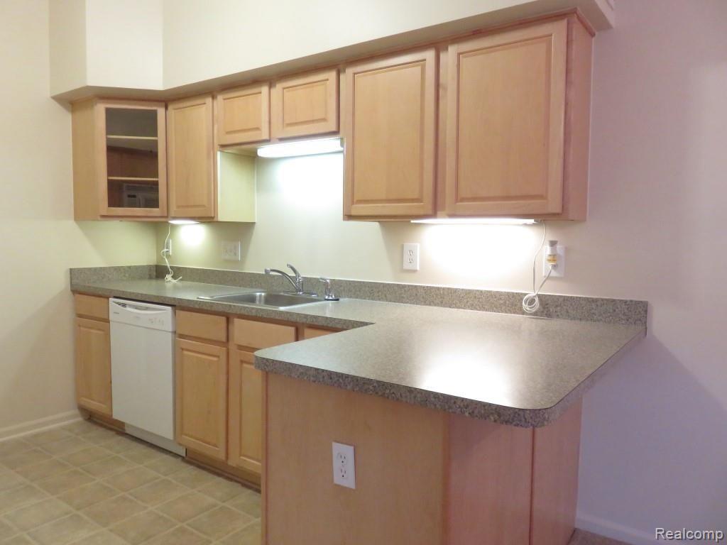1104 Rial Lake Drive Howell, MI 48843 - Photo 10 of 31 Plenty of counter space