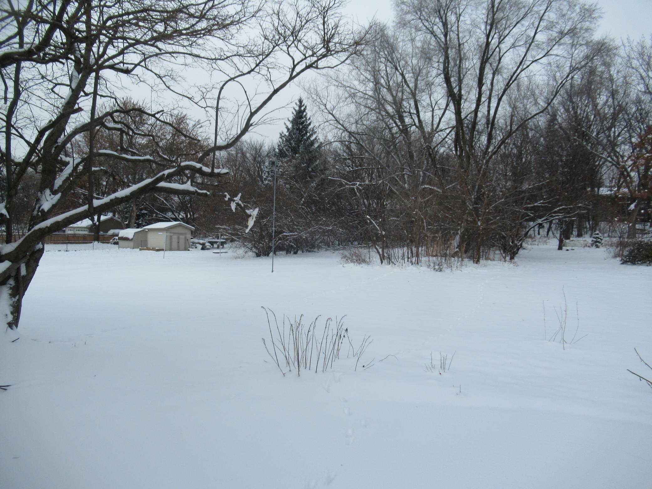 6567 133rd Street West Apple Valley, MN 55124 - Photo 2 of 13