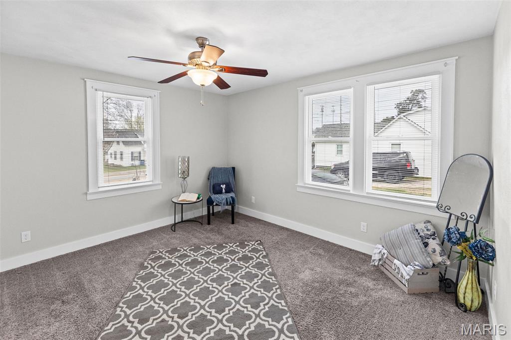 418 South Main Street Shiloh, IL 62269 - Photo 18 of 34