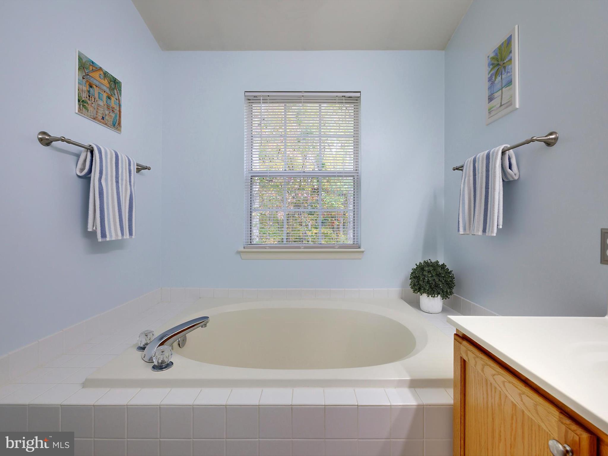 2355 Sandy Walk Way Odenton, MD 21113 - Photo 27 of 68 a white bath tub sitting next to a window