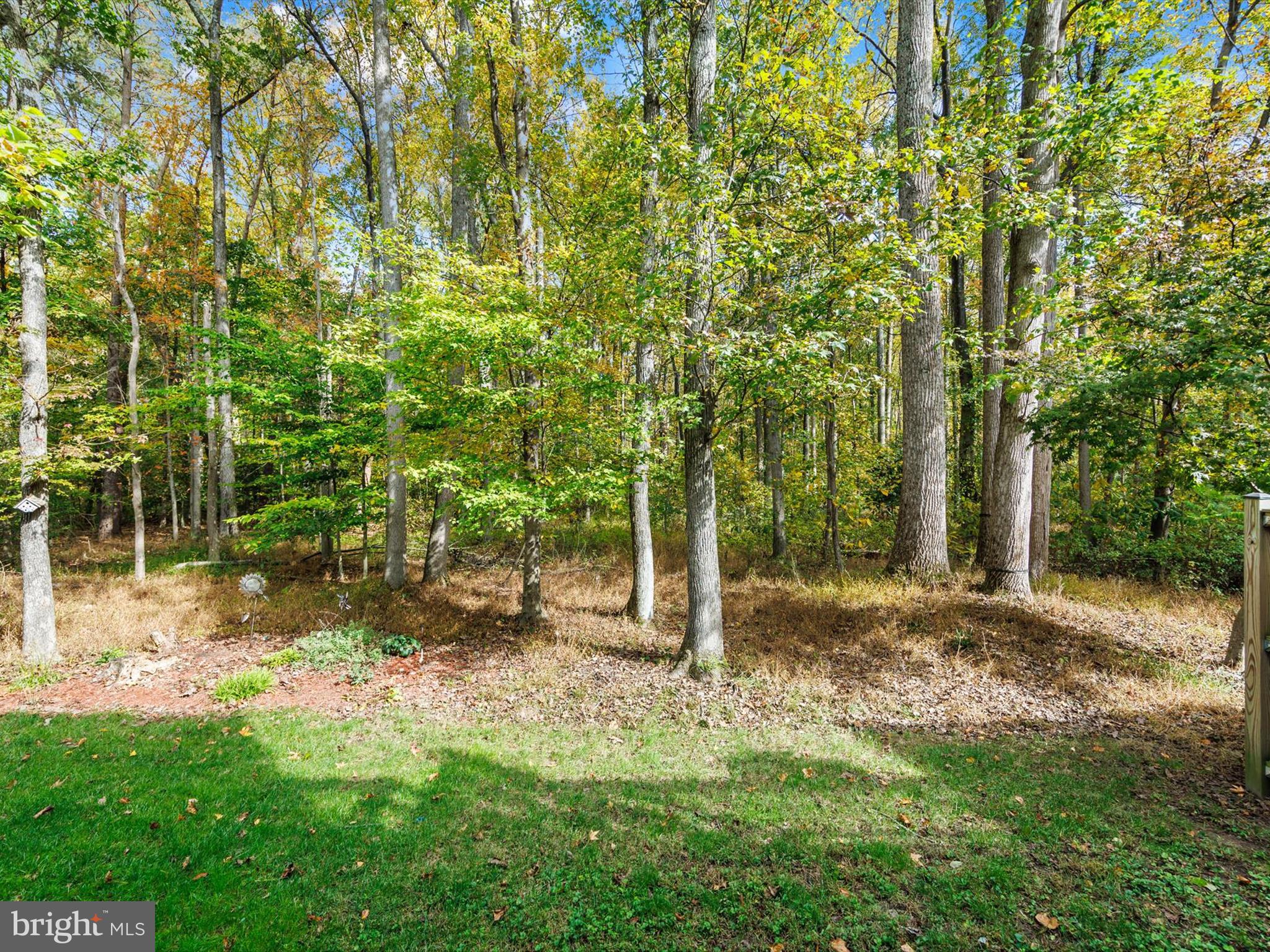 2355 Sandy Walk Way Odenton, MD 21113 - Photo 39 of 68 a backyard of a house with lots of green space