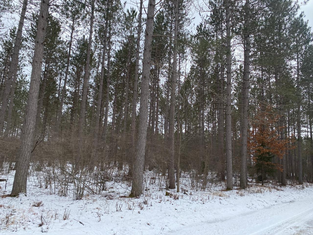 On River Road Tomahawk, WI 54487 - Photo 3 of 5 Gallery Image 3