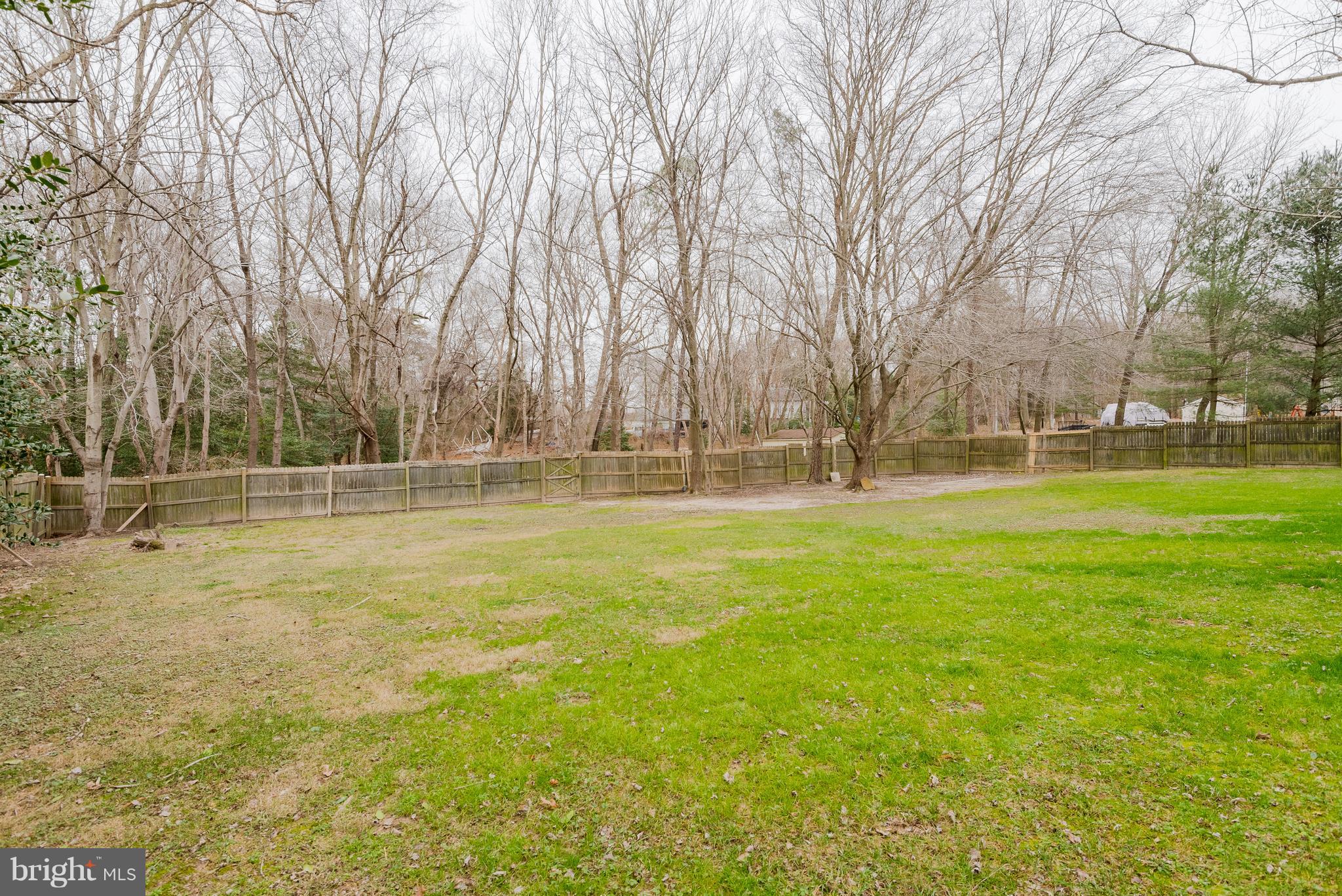 7891 Whites Cove Road Pasadena, MD 21122 - Photo 38 of 39 Yard backs to Woods