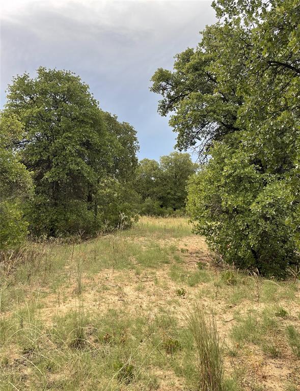 Lot 20 Private Road Hawley, TX 79525 - Photo 18 of 24