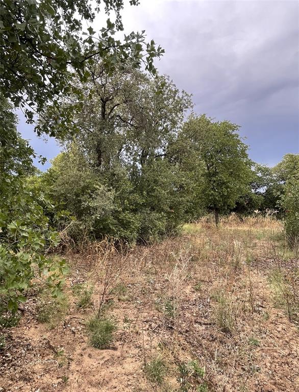 Lot 20 Private Road Hawley, TX 79525 - Photo 22 of 24