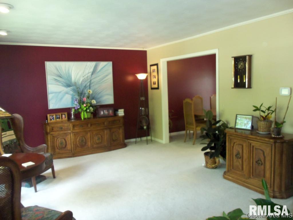 313 Astoria Road Springfield, IL 62704 - Photo 8 of 18