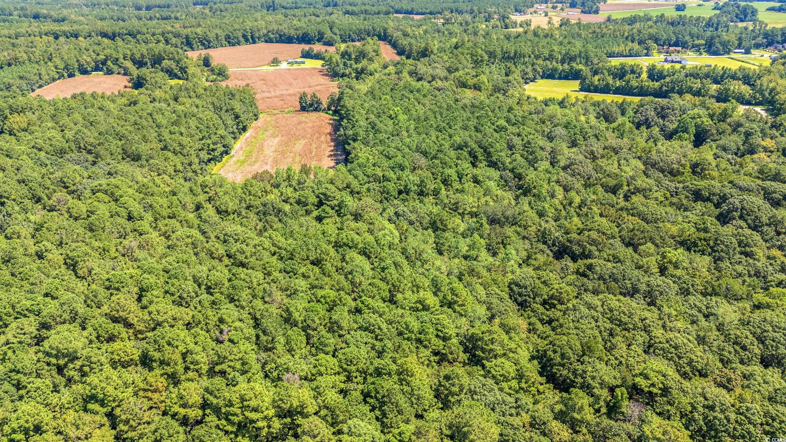 Tbd Myrtle W Drive Loris, SC 29569 - Photo 1 of 12 Bird's eye view of a forest