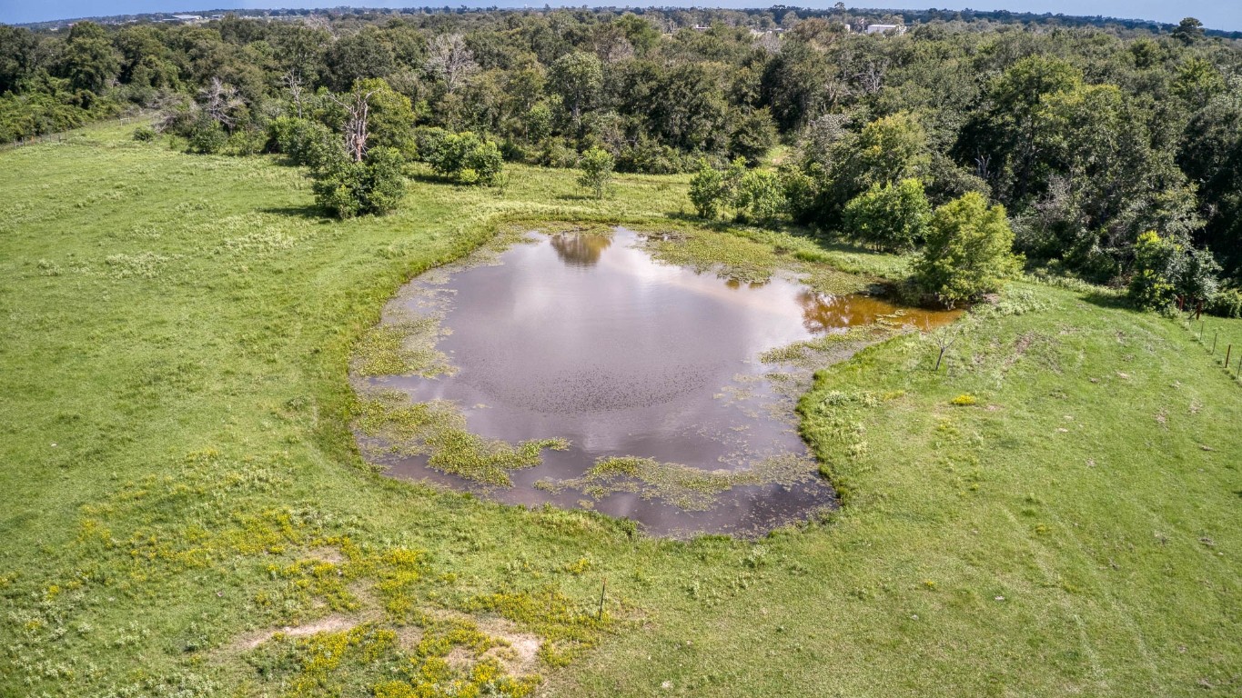 38201 Wiggins Road Hempstead, TX 77445 - Photo 11 of 20 an aerial view of a trees