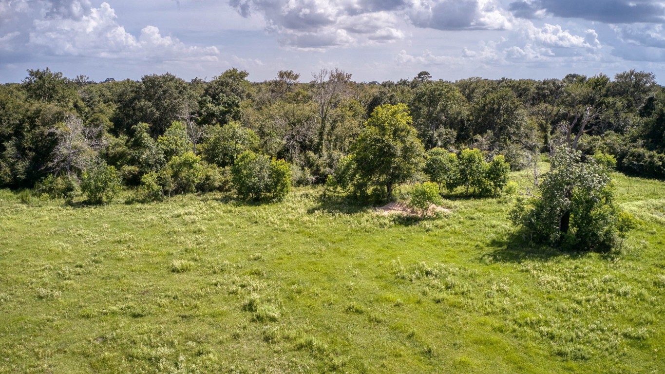38201 Wiggins Road Hempstead, TX 77445 - Photo 14 of 20 a view of a bunch of trees and bushes