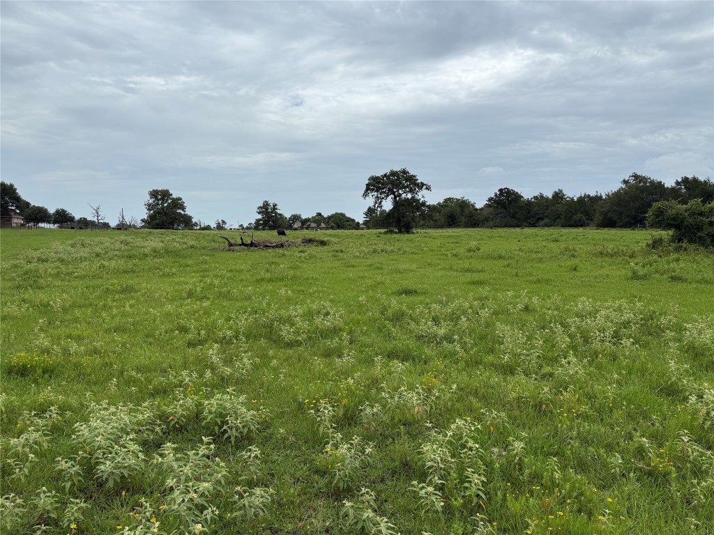 38201 Wiggins Road Hempstead, TX 77445 - Photo 15 of 20