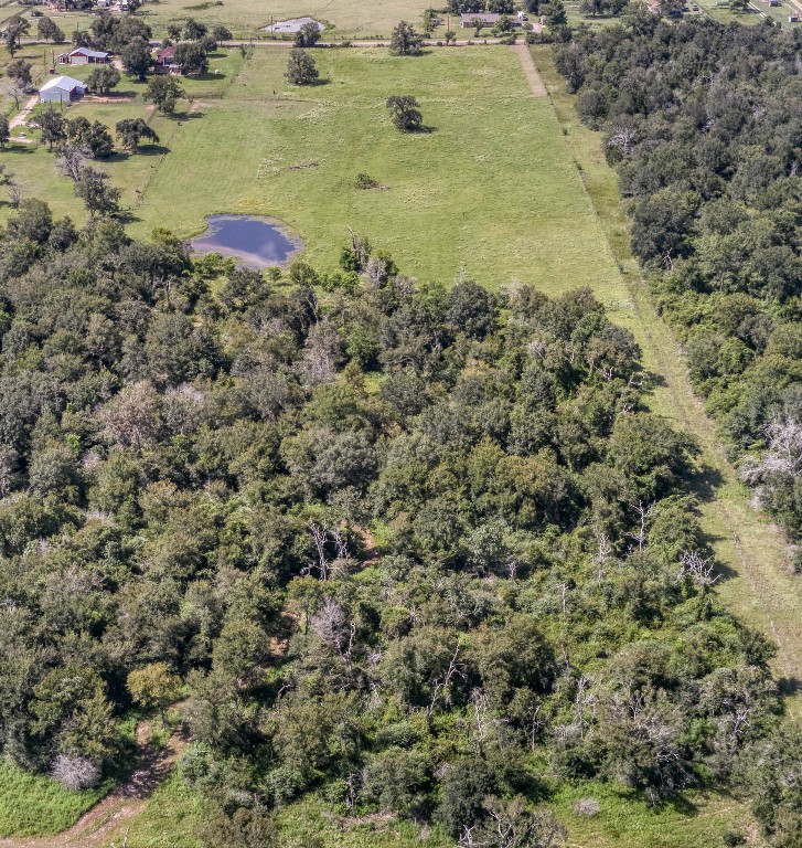 38201 Wiggins Road Hempstead, TX 77445 - Photo 18 of 20 a view of a lake view