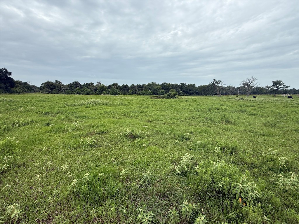 38201 Wiggins Road Hempstead, TX 77445 - Photo 20 of 20