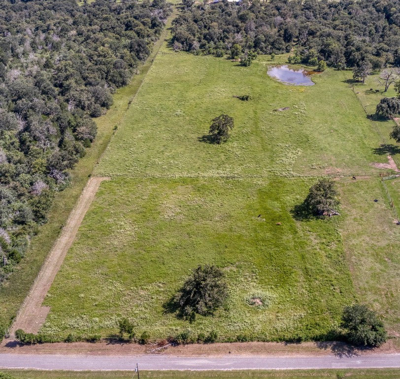 38201 Wiggins Road Hempstead, TX 77445 - Photo 8 of 20 a view of a lake yard