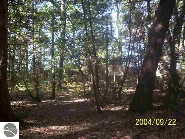 Lot 36 Thomas Road Frankfort, MI 49635 - Photo 1 of 1 1654294.JPG