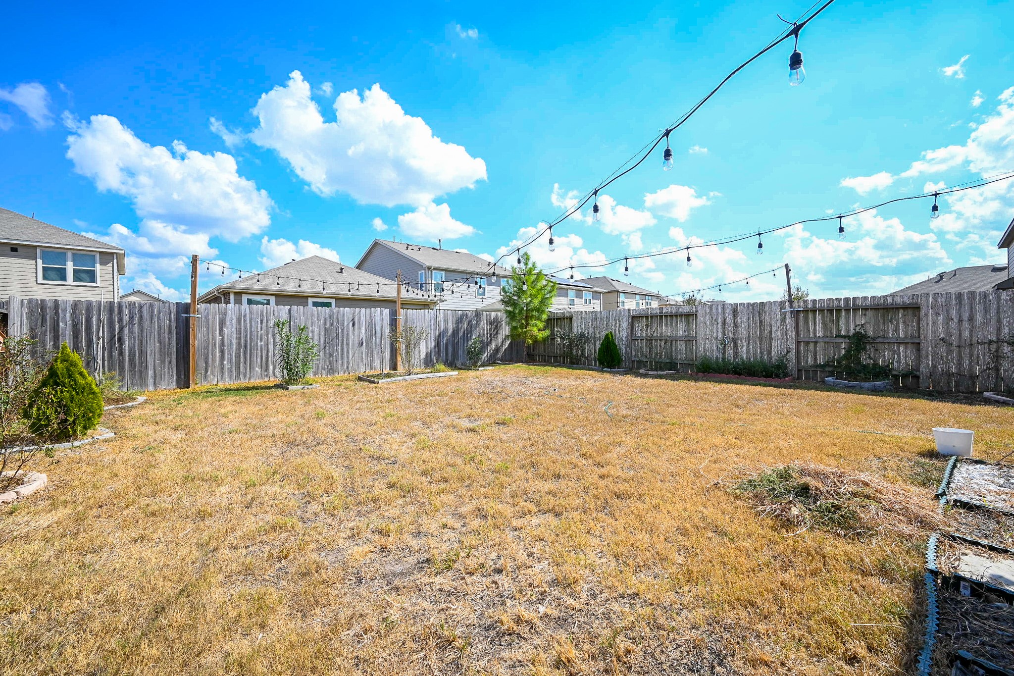 5238 Pine Forest Ridge Street Katy, TX 77493 - Photo 26 of 26 a view of a backyard