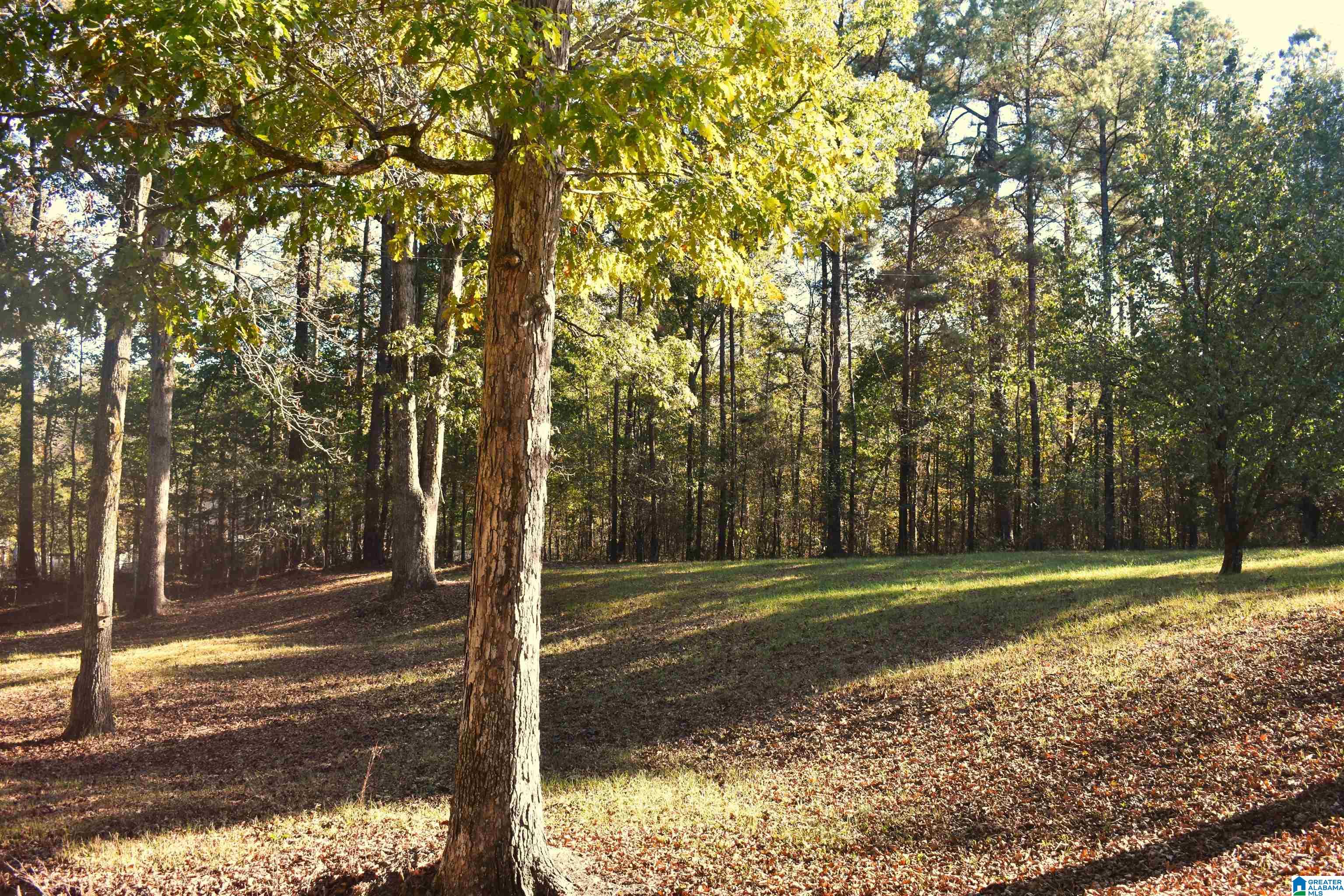 90 Chaley Springs Road Warrior, AL 35180 - Photo 2 of 23