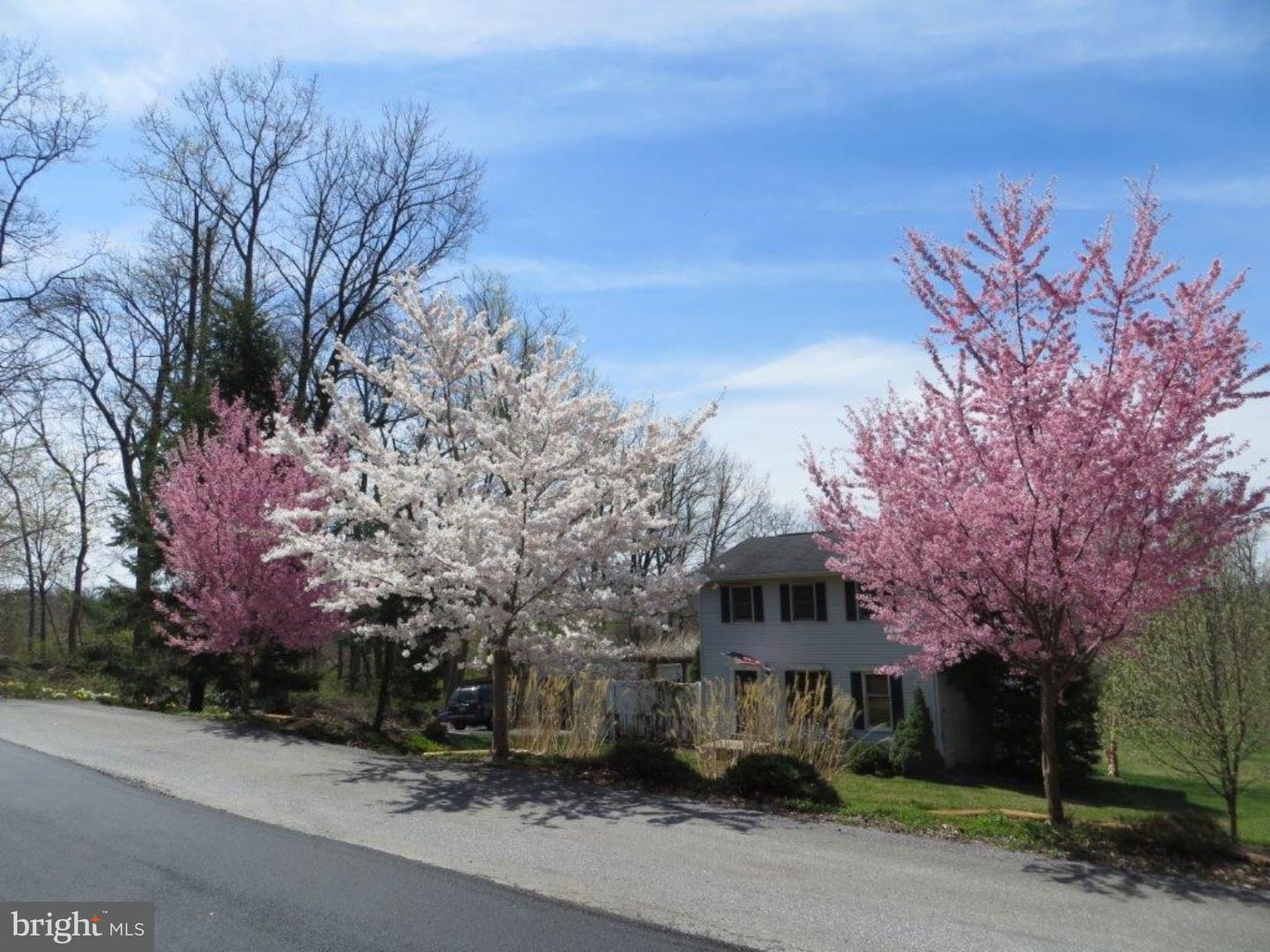 225 Witmer Road Reinholds, PA 17569 - Photo 3 of 19 Gallery Image 3