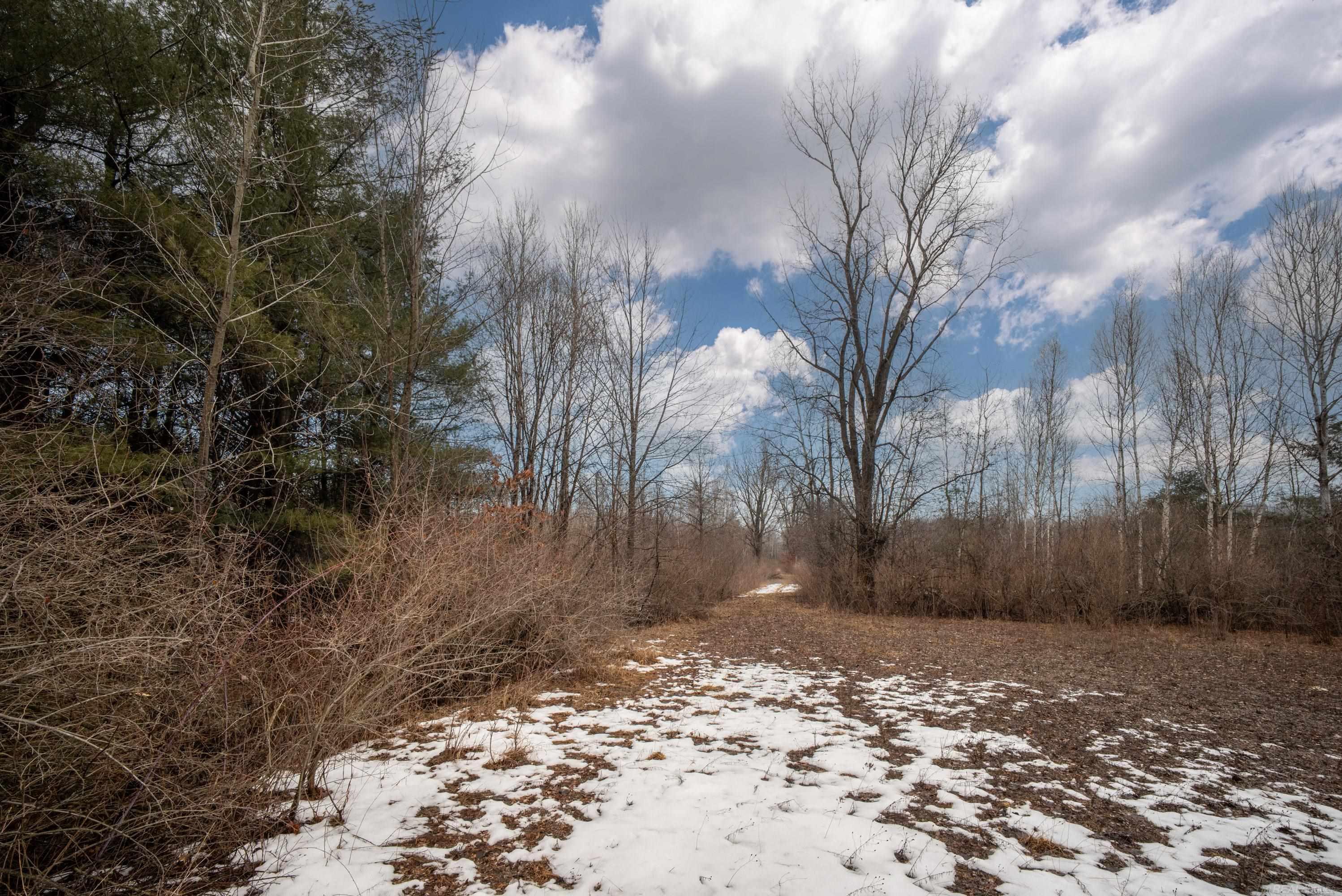 3772 Jasper Road St. Louis, MI 48880 - Photo 4 of 23 Gallery Image 4