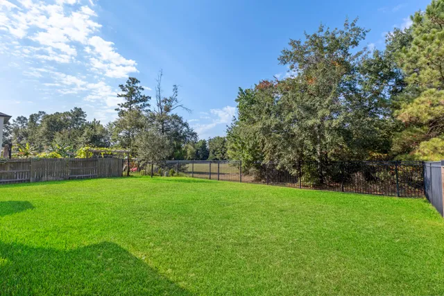 a view of a grassy field with trees in the background