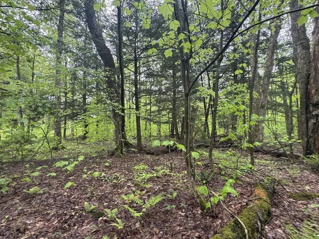 $90,000 | 1585 Amidon Road, Unit 3, Montgomery, VT 05471