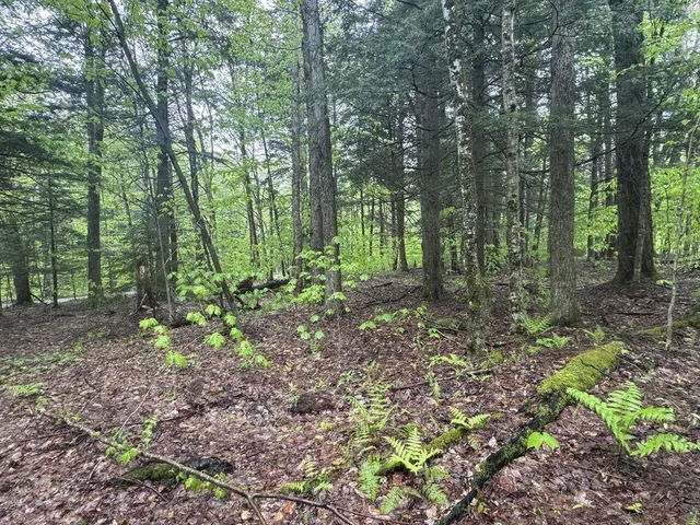 $90,000 | 1585 Amidon Road, Unit 3, Montgomery, VT 05471